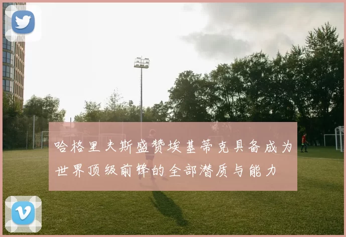 哈格里夫斯盛赞埃基蒂克具备成为世界顶级前锋的全部潜质与能力